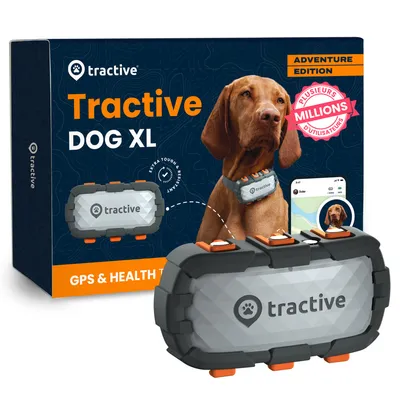 Tractive DOG XL – Collier GPS chien connecté pour grands chiens - gris