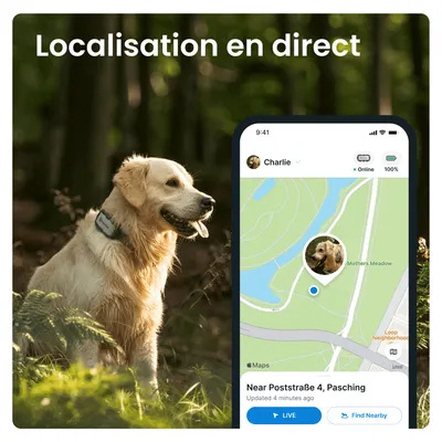 Tractive DOG XL – Collier GPS chien connecté pour grands chiens - gris
