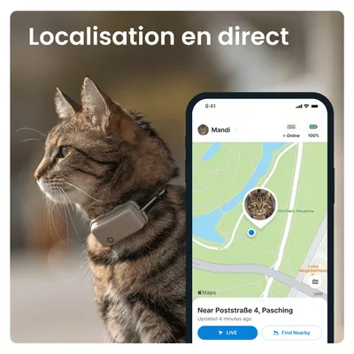 Tractive CAT Mini Collier GPS connecté pour chat avec suivi santé – Marron