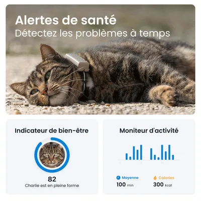 Tractive CAT Mini Collier GPS connecté pour chat avec suivi santé – Marron Tractive CAT Mini Collier GPS connecté pour chat avec suivi santé – Marron
