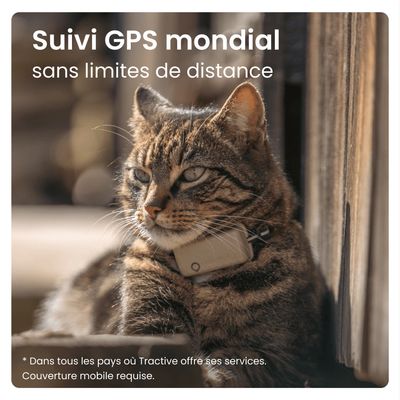 Tractive CAT Mini Collier GPS connecté pour chat avec suivi santé – Marron