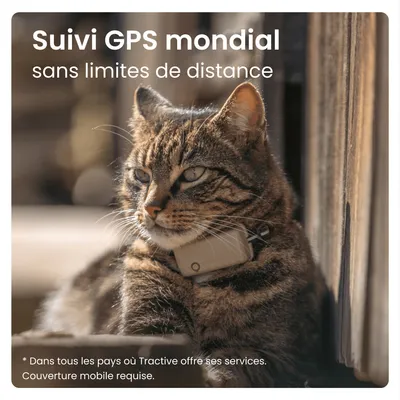 Tractive CAT Mini Collier GPS connecté pour chat avec suivi santé – Marron