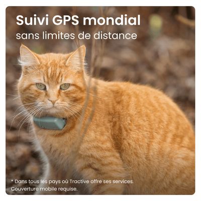 Tractive CAT Mini Collier GPS connecté pour chat avec suivi santé – Menthe