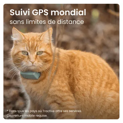 Tractive CAT Mini Collier GPS connecté pour chat avec suivi santé – Menthe