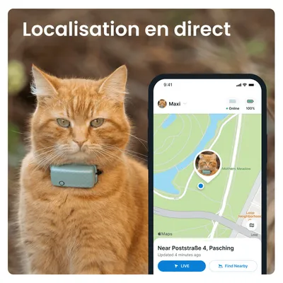 Tractive CAT Mini Collier GPS connecté pour chat avec suivi santé – Menthe Tractive CAT Mini Collier GPS connecté pour chat avec suivi santé – Menthe