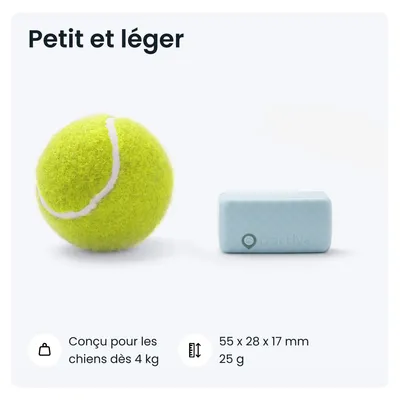 Tractive CAT Mini Collier GPS connecté pour chat avec suivi santé – Menthe Tractive CAT Mini Collier GPS connecté pour chat avec suivi santé – Menthe