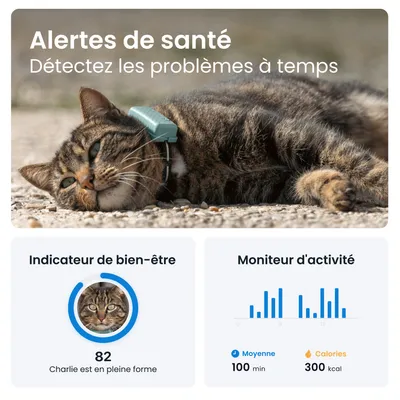 Tractive CAT Mini Collier GPS connecté pour chat avec suivi santé – Menthe Tractive CAT Mini Collier GPS connecté pour chat avec suivi santé – Menthe