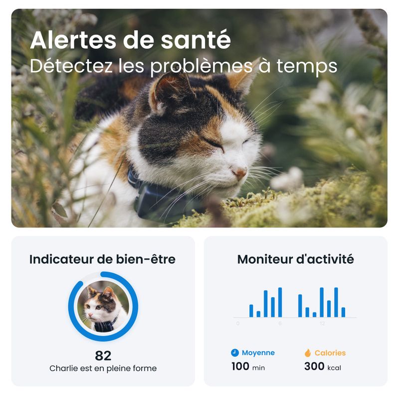 Tractive CAT Mini