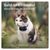 Tractive CAT Mini