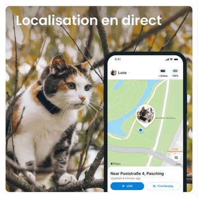 Tractive CAT Mini Collier GPS pour chat avec suivi santé - Bleu foncé