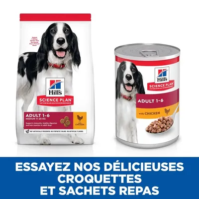 HILL'S -  CHIEN SCIENCE PLAN ADULTE POULET (boite)