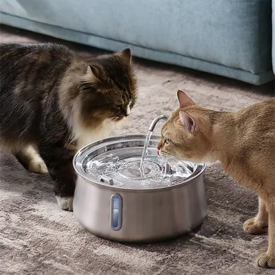 PurrfectFun Filtres Pour Fontaines à eau Pour Chats - 6 Paquets