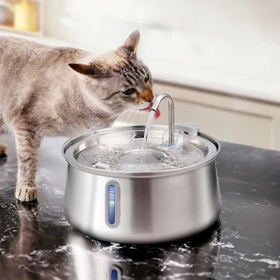 PurrfectFun Filtres Pour Fontaines à eau Pour Chats - 6 Paquets