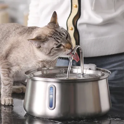 PurrfectFun Filtres Pour Fontaines à eau Pour Chats - 6 Paquets