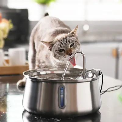 PurrfectFun Filtres Pour Fontaines à eau Pour Chats - 6 Paquets