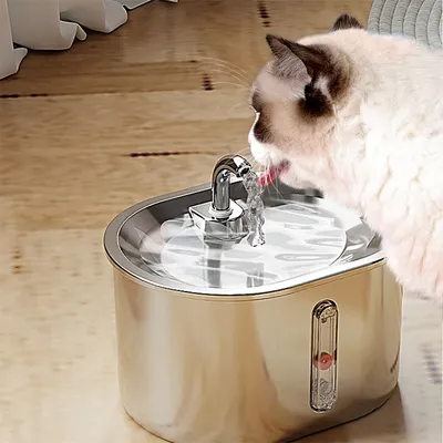 PurrfectFun Filtres Pour Fontaines à eau Pour Chats - 8 Paquets