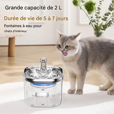 Petopia Fontaine à Eau 2L pour Chat avec Filtration 10 Couches