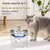 Petopia Fontaine à Eau 2L pour Chat avec Filtration 10 Couches