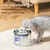 Petopia Fontaine à Eau 2L pour Chat avec Filtration 10 Couches