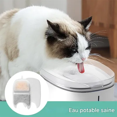 Petopia Lot de Filtres pour Fontaine à Chat