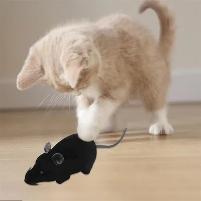 FurryFusion Jouet pour chat en forme de souris télécommandée