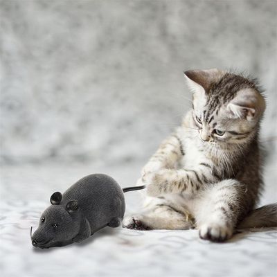 FurryFusion Jouet pour chat en forme de souris télécommandée