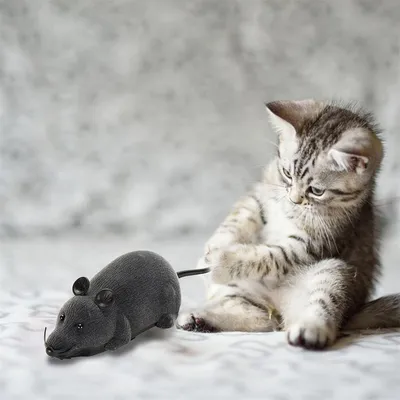 FurryFusion Jouet pour chat en forme de souris télécommandée