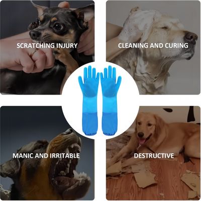PetPlanet Gants de bain pour chien