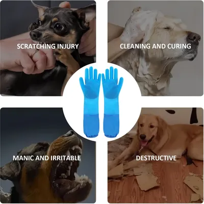 PetPlanet Gants de bain pour chien