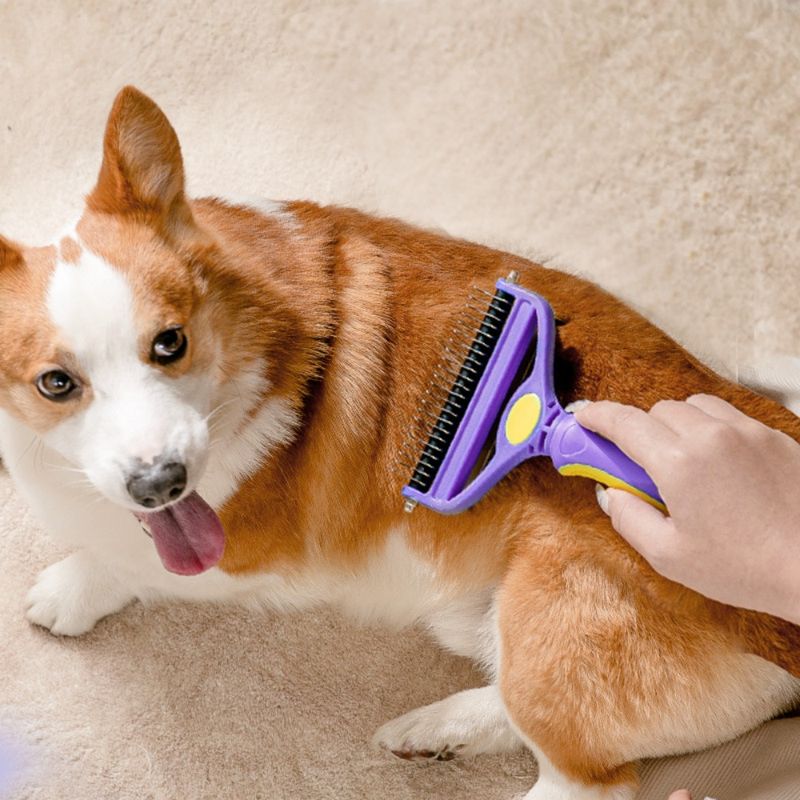 PetPlanet Peigne de nouage 2 en 1 pour chiens