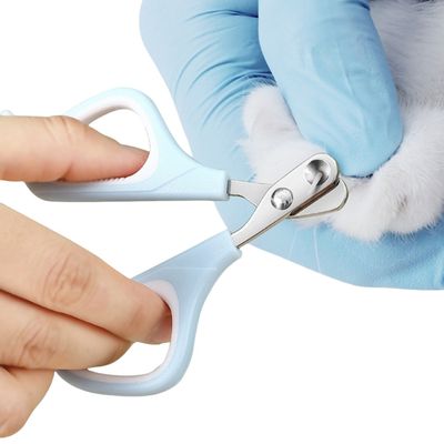 PetPlanet Kit de toilettage pour chat