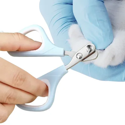 PetPlanet Kit de toilettage pour chat