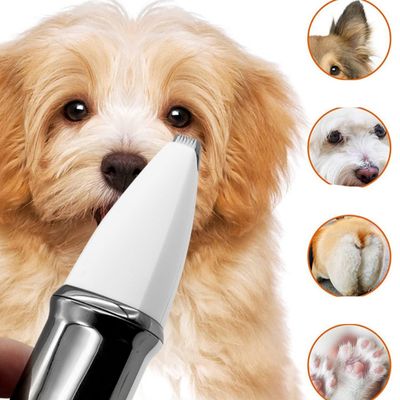 FurryFusion Kit de toilettage pour chien