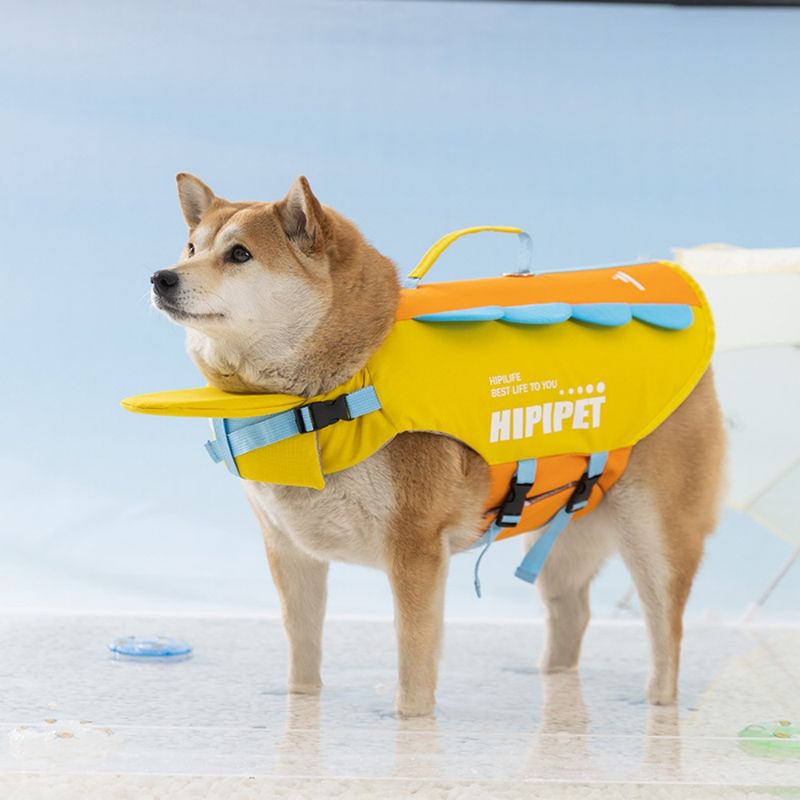 FurryFusion Gilet de sauvetage pour chien d'été