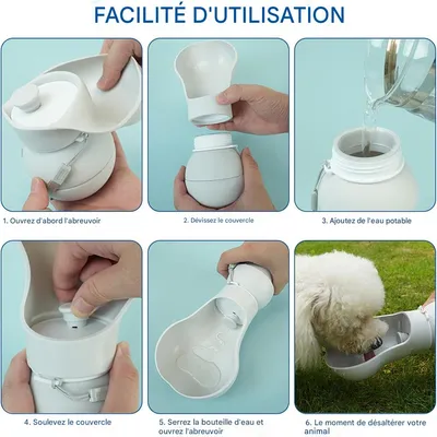 IntiMeg Gourde d'eau pour chien