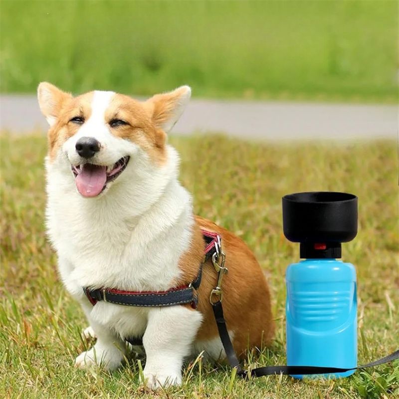 IntiMeg Gourde d'eau pour chien