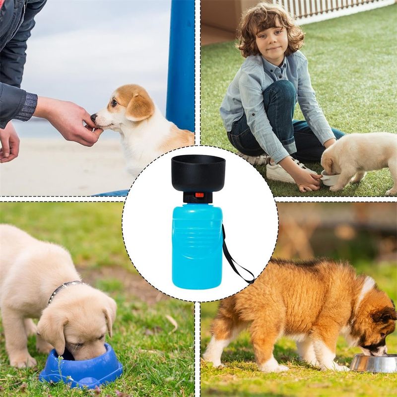IntiMeg Gourde d'eau pour chien