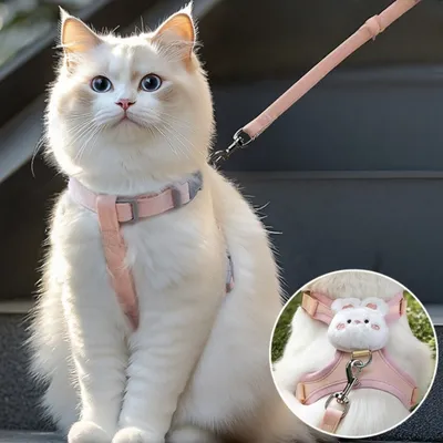 FurryFusion Corde de traction pour chat FurryFusion Corde de traction pour chat