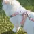 FurryFusion Corde de traction pour chat FurryFusion Corde de traction pour chat