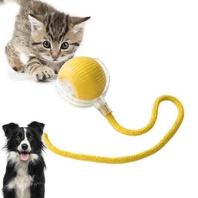 PurrfectFun Balle interactive avec corde pour chat
