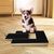 PetPlanet Planche à gratter pour chien