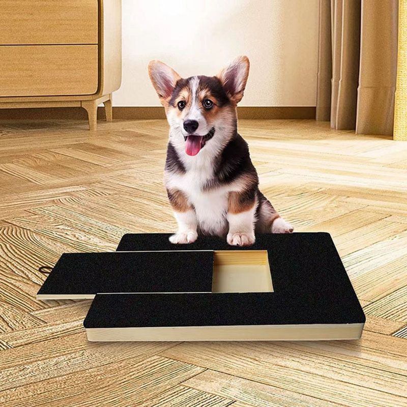 PetPlanet Planche à gratter pour chien
