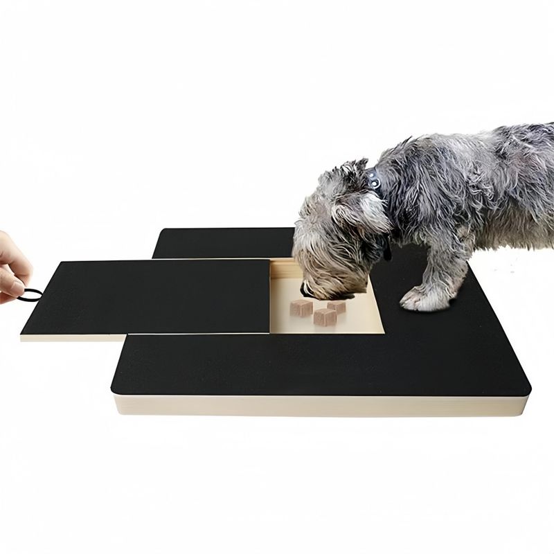PetPlanet Planche à gratter pour chien