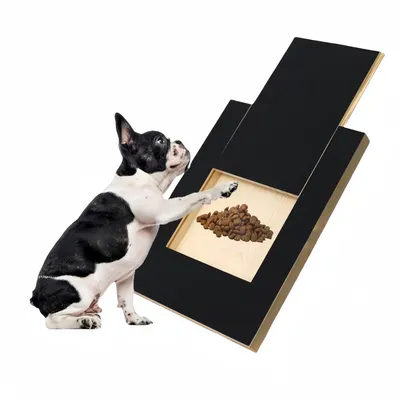 PetPlanet Planche à gratter pour chien