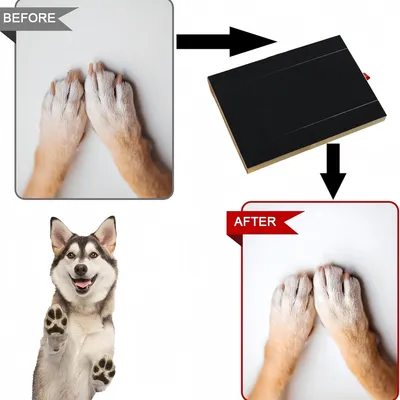 PetPlanet Planche à gratter pour chien