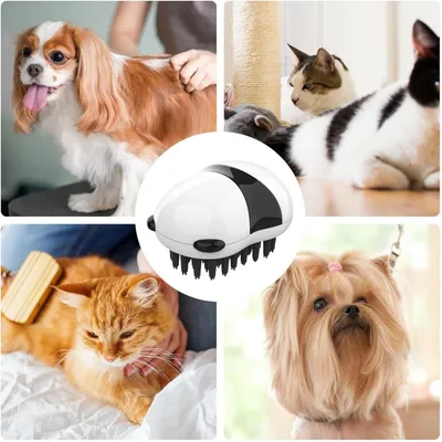 PetPlanet Brosse de bain pour animaux de compagnie en forme de panda