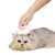 PetPlanet Brosse de toilettage pour animaux de compagnie