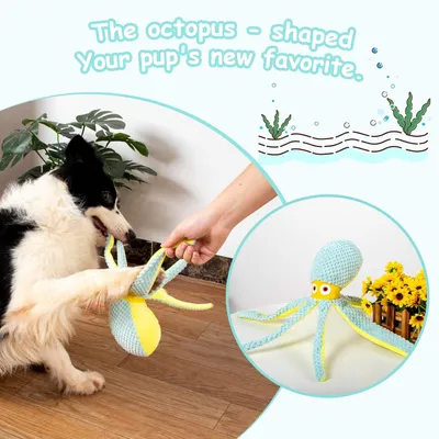 PurrfectFun Jouets pour Chien en Peluche Durables et Sonores