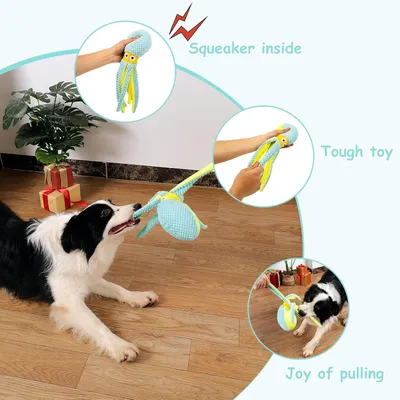 PurrfectFun Jouets pour Chien en Peluche Durables et Sonores