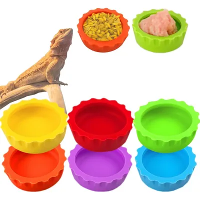 IntiMeg Mangeoire pour reptiles IntiMeg Mangeoire pour reptiles